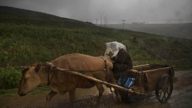 For more than four decades, farming in North was characterised by heavy use of mechanisation, swiftly followed by chronic fuel and equipment shortages and long-term damage caused by stopgap policies. 