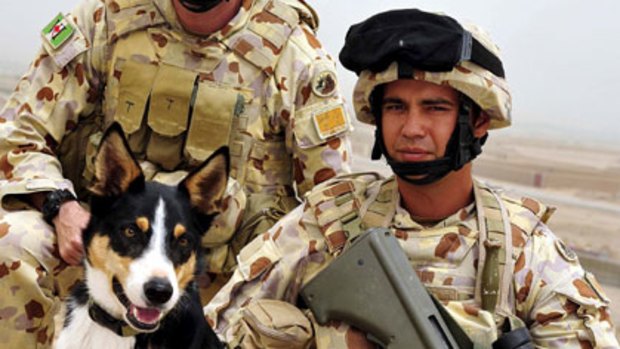 Casualties ... Sapper Darren Smith and Australian bomb detector dog Herbie were killed on June 7 at Tarin Kowt, Afghanistan.