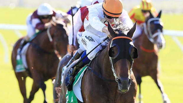 Messene could be headed for Canberra on Sunday.
