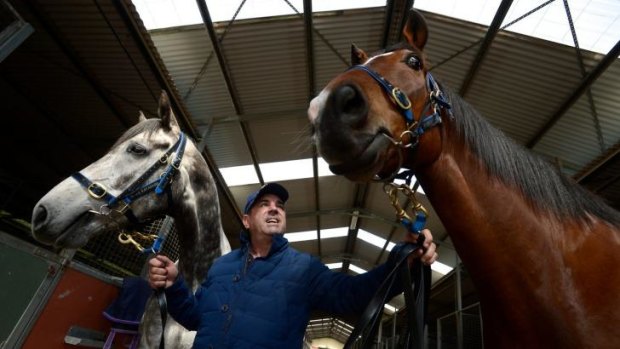 Supreme prize: Melbourne cup-winning trainer Mark Kavanagh with retired racehorses Forward Lane and Maldivian.