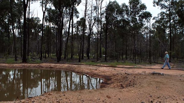 Coal seam gas: One of several operation sites in the Pilliga Forest.