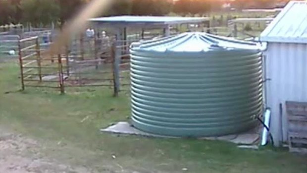 A security camera image of two men in an alpaca pen in Caboolture.