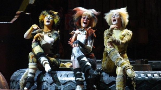 Cats plotting a return to the West End. 