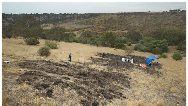 The car exploded on impact, leaving a large area of burnt grass.