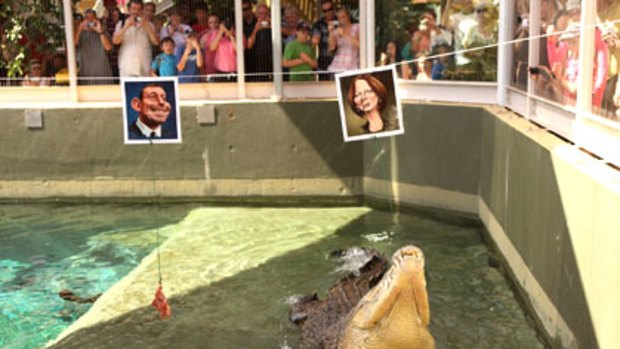 After successfully predicting the winner of the World Cup, saltwater crocodile Dirty Harry gives his verdict on the federal election at Darwin's Crocosaurus Cove.