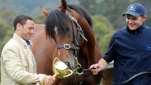 Envious &#8230; Brett Prebble shows Green Moon the cup as strapper Adam Chatterton looks on at Mount Macedon.