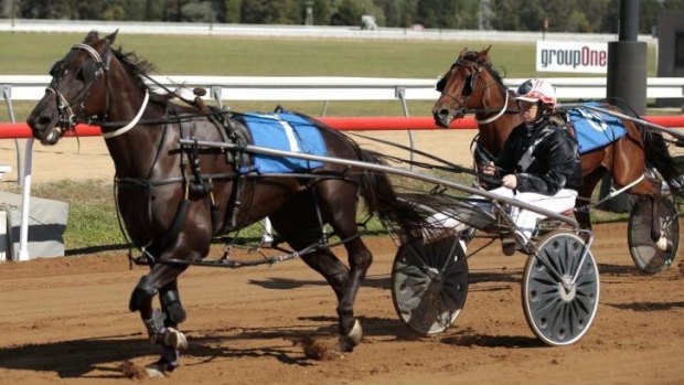 Driver Melissa Hawke guides Silk Banyula to win the Page Tavern Pace at Thoroughbred Park.