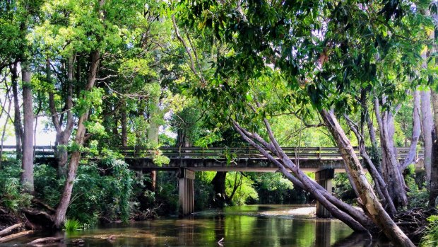 Swimming spot at the Never Never Creek, Bellingen,