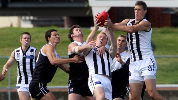 It's mine: Two Collingwood players fight for the spoils yesterday.