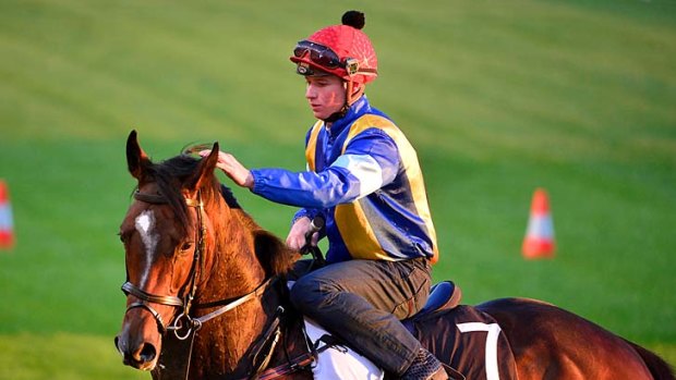 Warm-up: James McDonald and Victoria Derby favourite It's A Dundeel get a feel for Moonee Valley yesterday.
