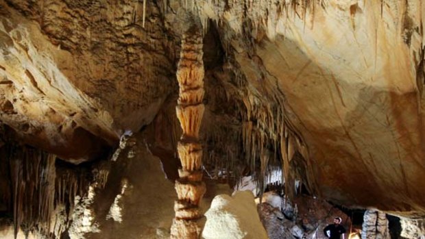 Precious 1000-year record ... stalagmites in a Wombeyan cave.