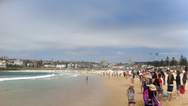 Beach-goers are cleared from the water at Bondi Beach after a shark alarm sounded