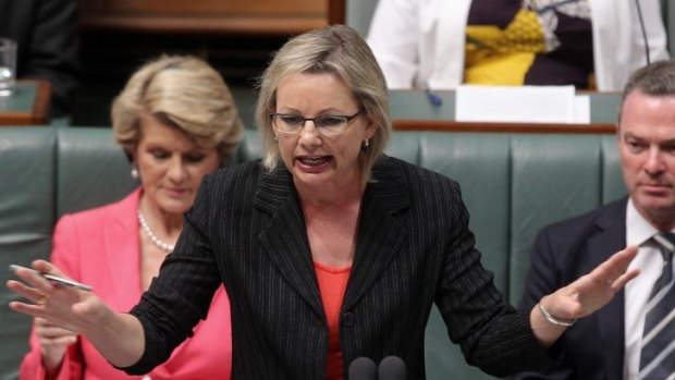 Rejected: Assistant Education Minister Sussan Ley's suggestions for regulating childcare have been snubbed by states.