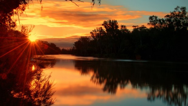 The rising sun casts a glow across the Murray River.