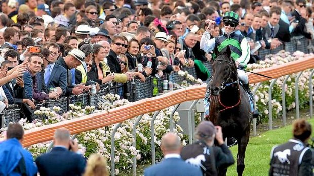 "We did it!": Chad Schofield salutes after winning the Cox Plate on Shamus.