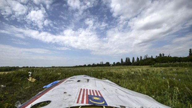 Wreckage of  Malaysia Airlines flight MH17 at the crash site in eastern Ukraine.