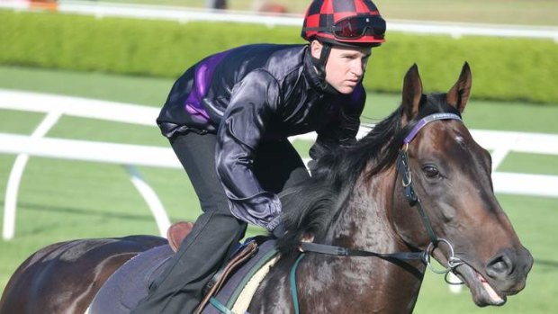 Melbourne Cup winner Fiorente on the run in a barrier trial at Randwick on January 31.