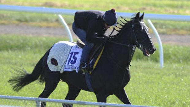 English stayer Illustrious Blue works at Werribee.
