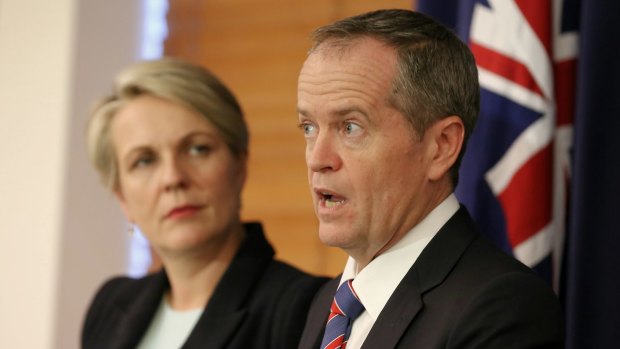 Bill Shorten, pictured with Tanya Plibersek, is backing a banking royal commission.
