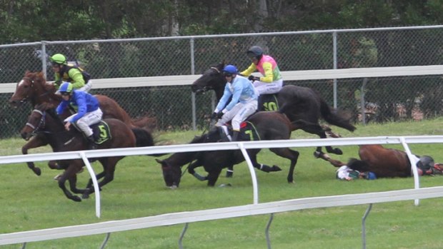 The opening day of the famous Grand Annual Steeplechase carnival at Warrnambool has been marred by the death of a horse.