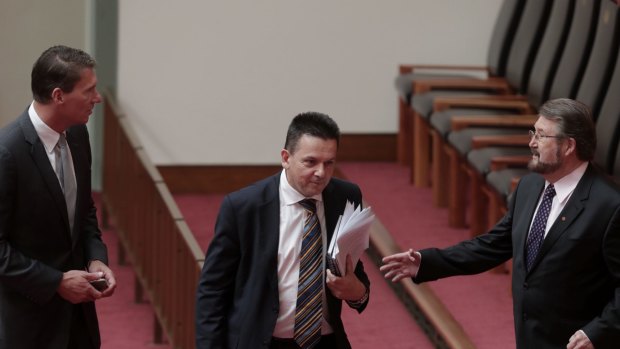 Crossbench senators Cory Bernardi, Nick Xenophon and Derryn Hinch have called for a full audit of parliamentarians' citizenship status.