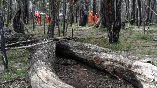 The site where Karen Ristevski's body was found.