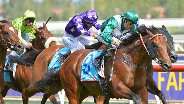 Point to prove ... All Too Hard cruises to the line to win the Orr Stakes at Caulfield on Saturday. The group 1 Randwick Guineas has been put on his agenda.