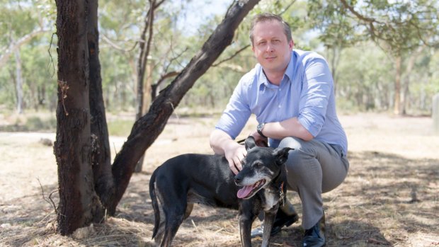 Animal Medicines Australia Executive Director, Ben Stapley with dog Kiera. Photo Jay Cronan