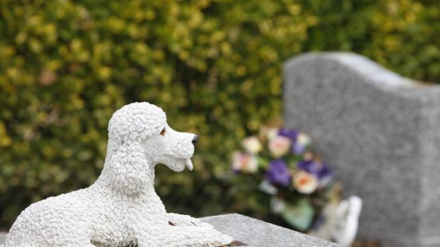 A beloved dog's grave at the Asnieres animal cemetery.