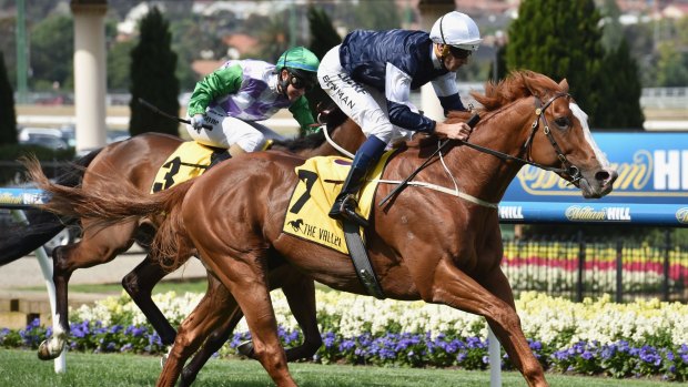 Class act: The United States has had an ideal preparation for the group 1 Emirates Stakes at Flemington on Saturday.