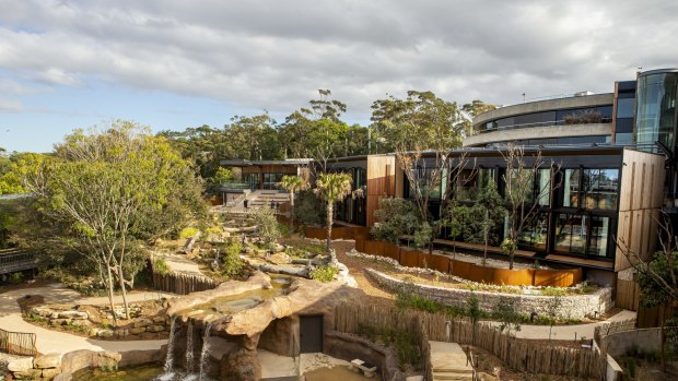 From five-star surrounds, watch wandering fauna at the Taronga's Wildlife Retreat.