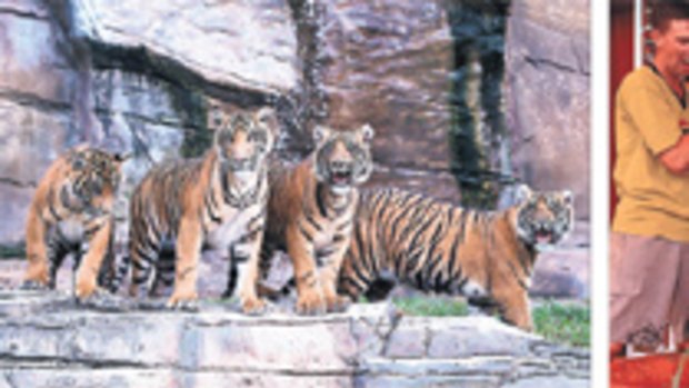 Loads of fun ... (from left) tiger cubs at Dreamworld; the slime show at Nickelodeon Central; Dreamworld’s Flow Rider.