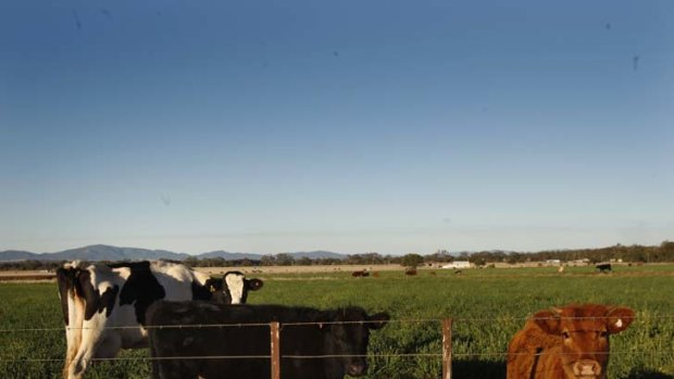Delays &#8230; an approval for the Liverpool Plains mine took seven months.