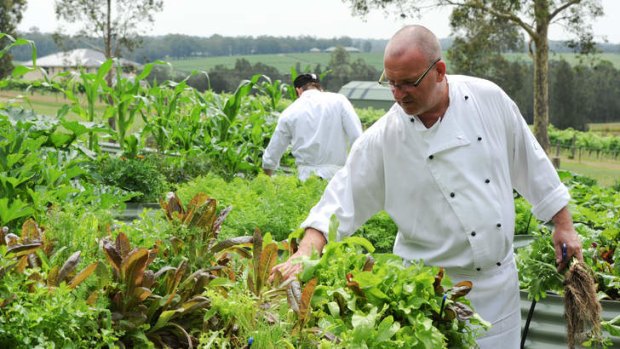 When chef says "fresh", it's fresh - often from his own garden.