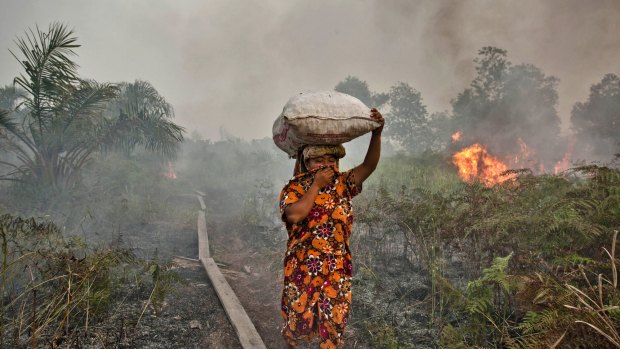 A woman walks trough haze as a forest fire burns in Siak Regency, Riau Province, Indonesia. The fires on Sumatra have caused record smog in Malaysia and Singapore.