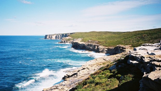 The woman became separated from her partner in the Royal National Park.