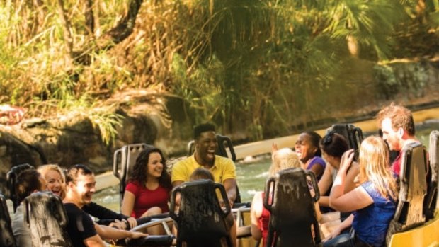 Busch Gardens, in Tampa Bay, temporarily closed its Congo River Rapids ride in the wake of the Dreamworld tragedy.