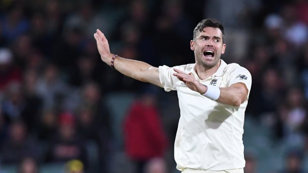 Bending his back: James Anderson with a successful appeal.