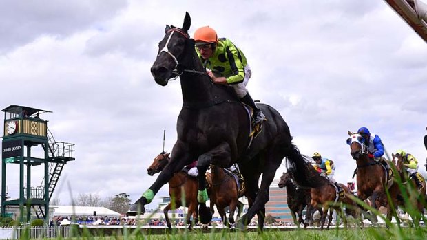 Grabbing attention &#8230; Damien Oliver on Commanding Jewel at Caulfield.