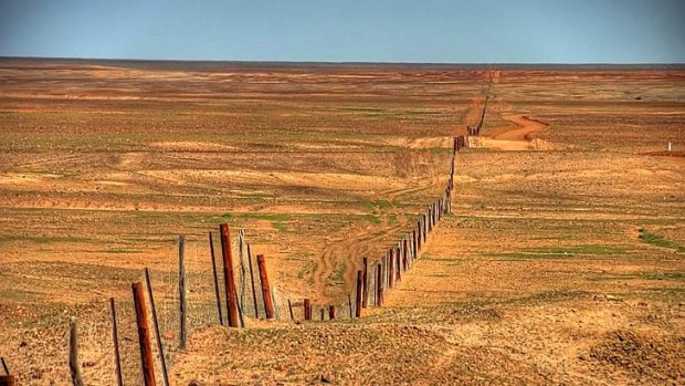 The dog fence near Coober Pedy.