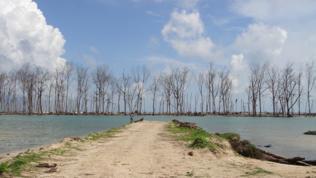 Tsunami devastation on Nancowrie Island, in the Nicobars