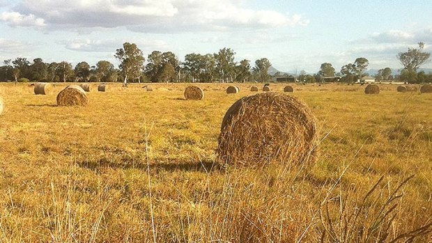 The electorate of Blair takes in rural areas west of Brisbane.
