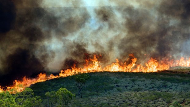 Wildfire: critics argue that too much is being burnt too often in the Northern Territory.