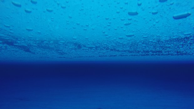 Underwater picture of englacial lake 4m below the surface of the Roi Baudouin ice shelf, East Antarctica.