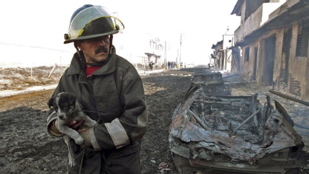 Rescued: A firefighter, surrounded by death and destruction, carries a puppy to safety.