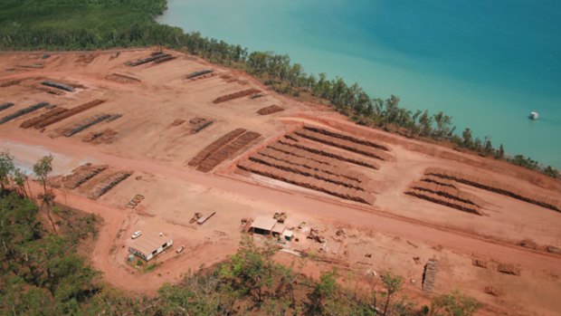 The demise of agribusiness company Great Southern has left environmental damage unfixed on the Tiwi Islands. 