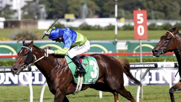 Marriage made in heaven: Eloping and Stephen Baster take out the Royal Randwick Stakes.