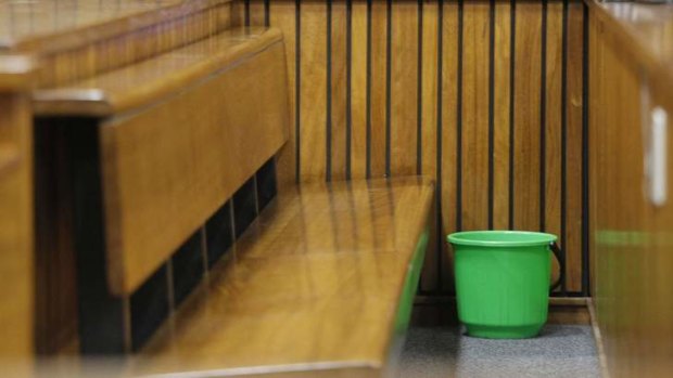 The green bucket Oscar Pistorius sat next to him in court during proceedings on Tuesday.