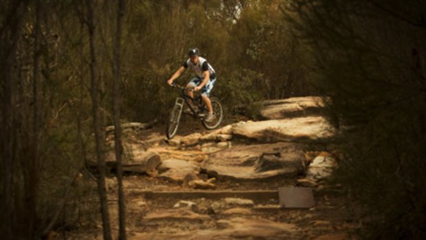 It takes dedication... mountain biker Brad Cox of Lane Cove negotiates a track in the Garigal National Park near Seaforth.