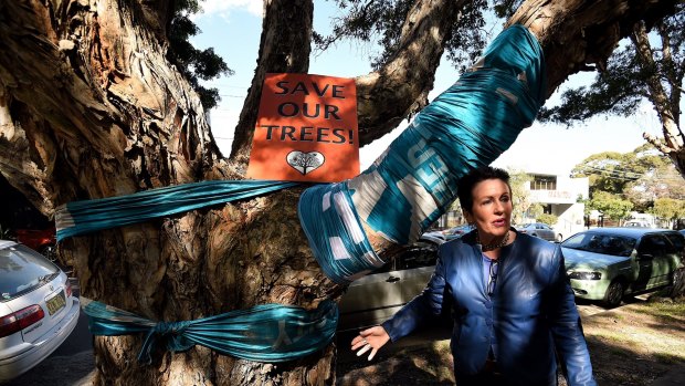 Sydney lord mayor Clover Moore with one of the trees due for removal in Sydney Park.